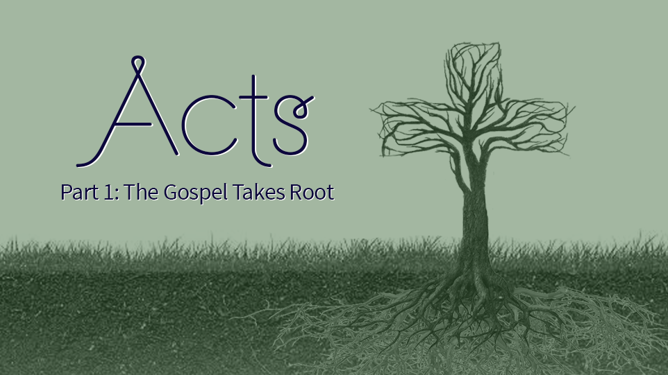 Acts Part 1: The Gospel Takes Root