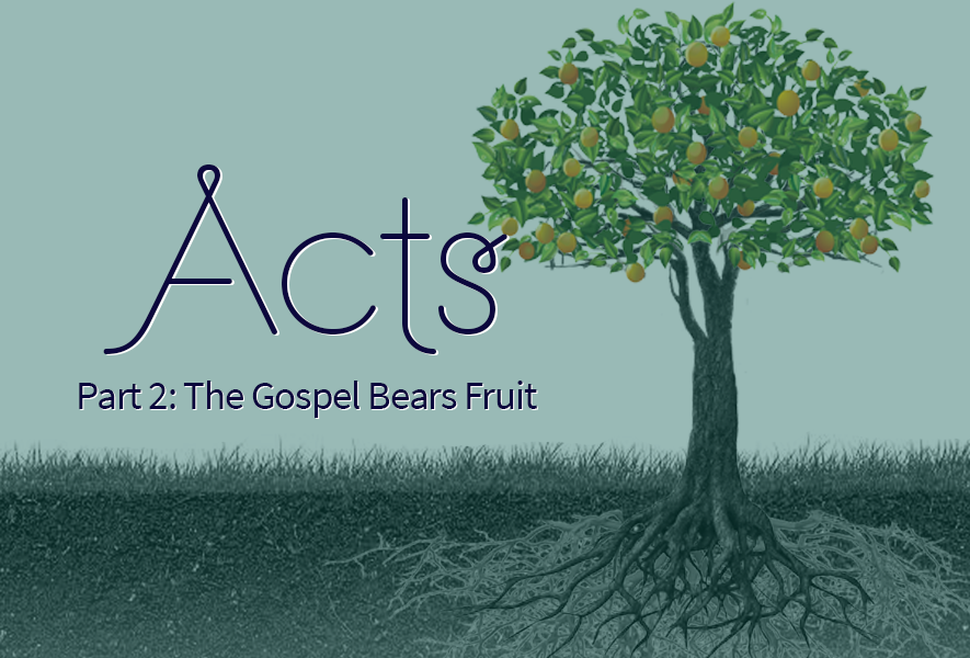 Acts Part 2: The Gospel Bears Fruit